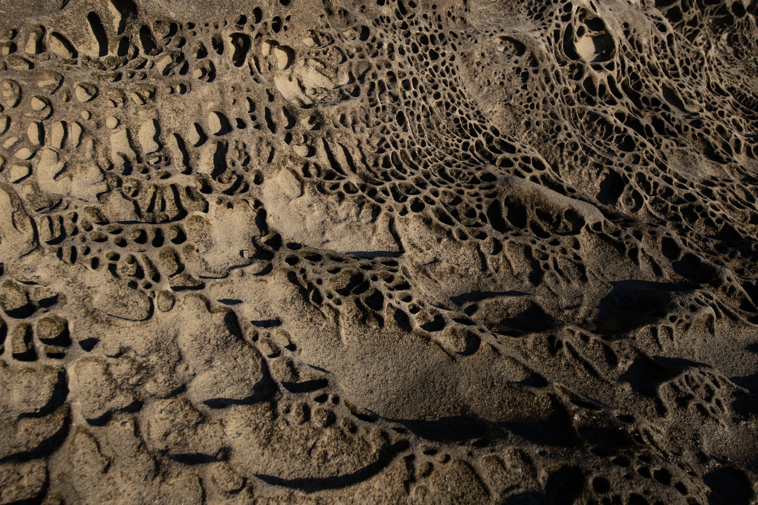 Eroded Lace