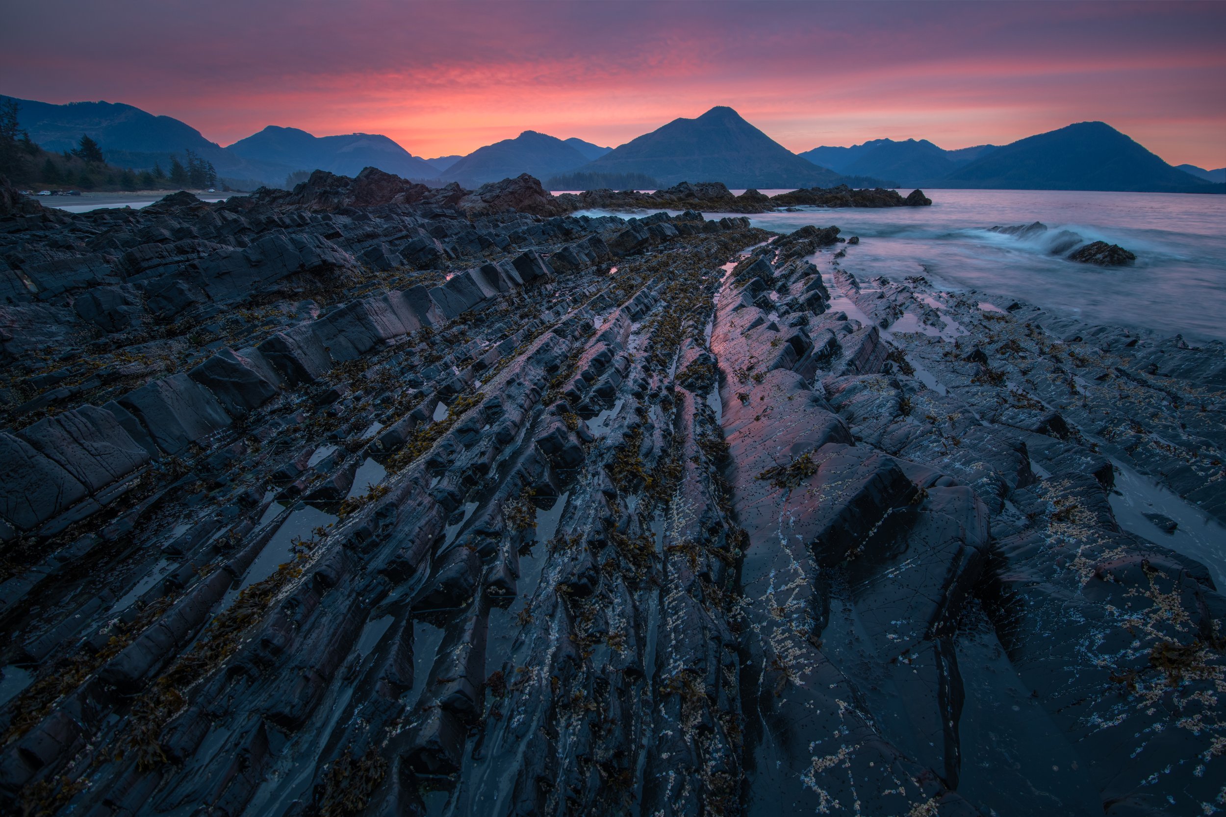 The Bones of the Shore