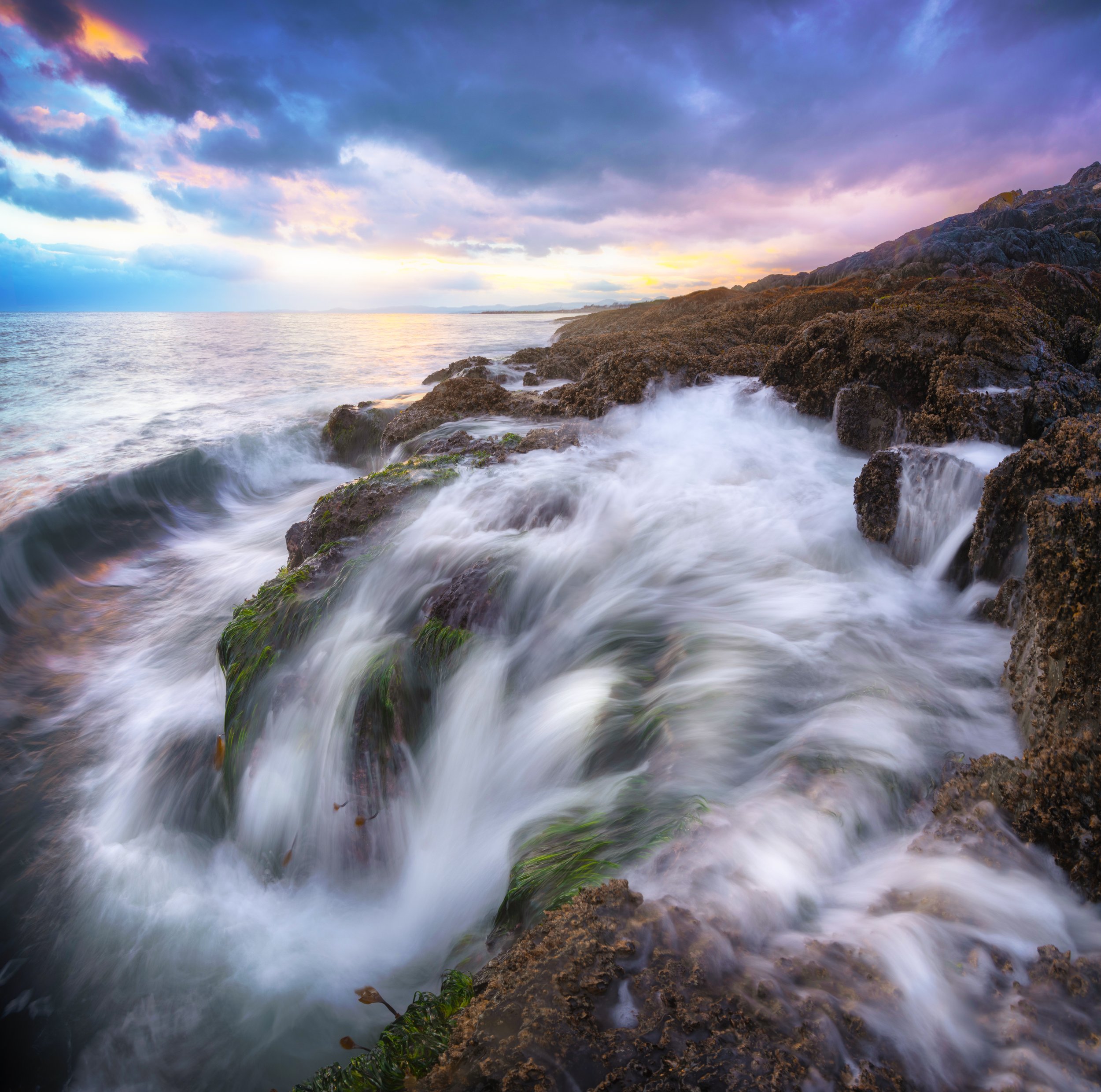 Whitewater Bloom