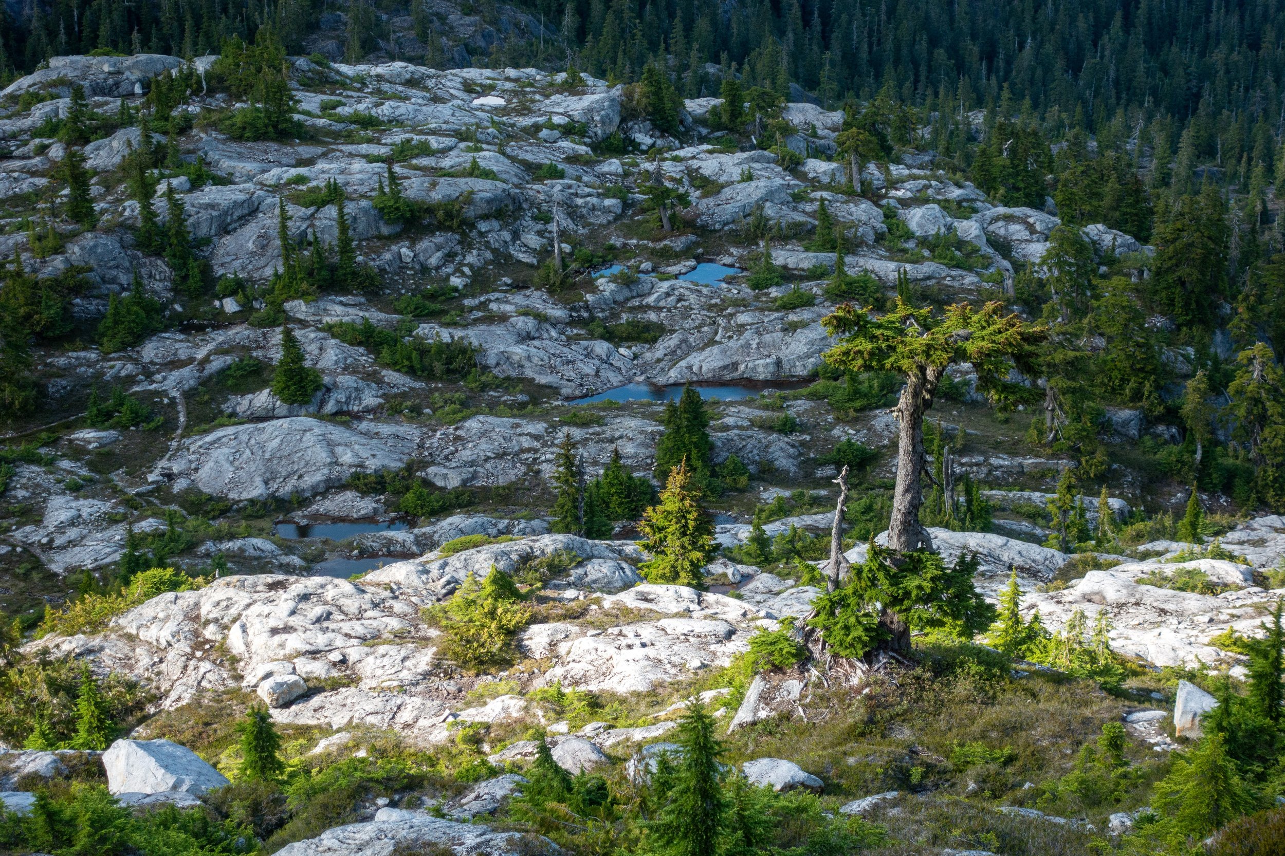 Alpine Patchwork