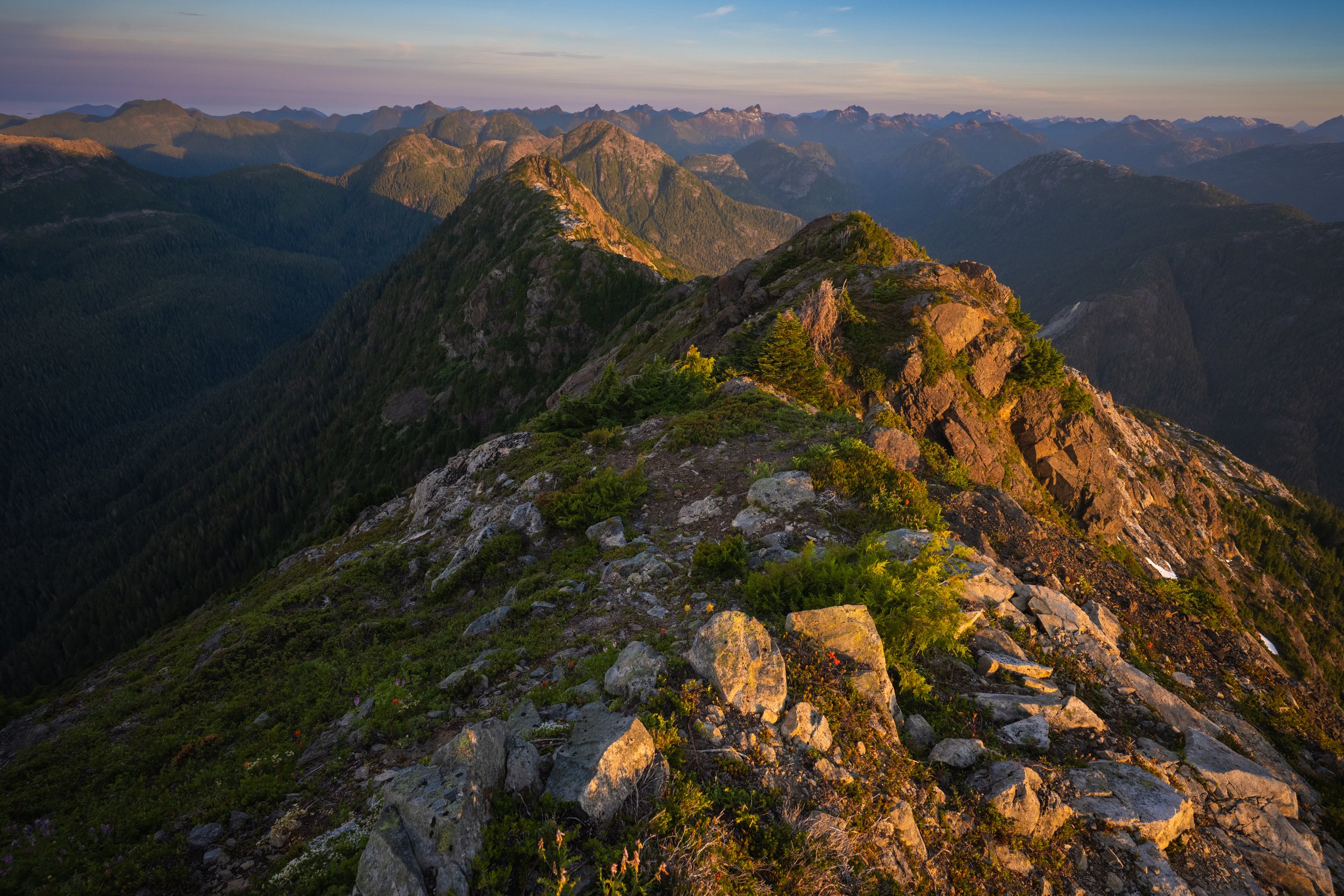 Daybreak on the Spine