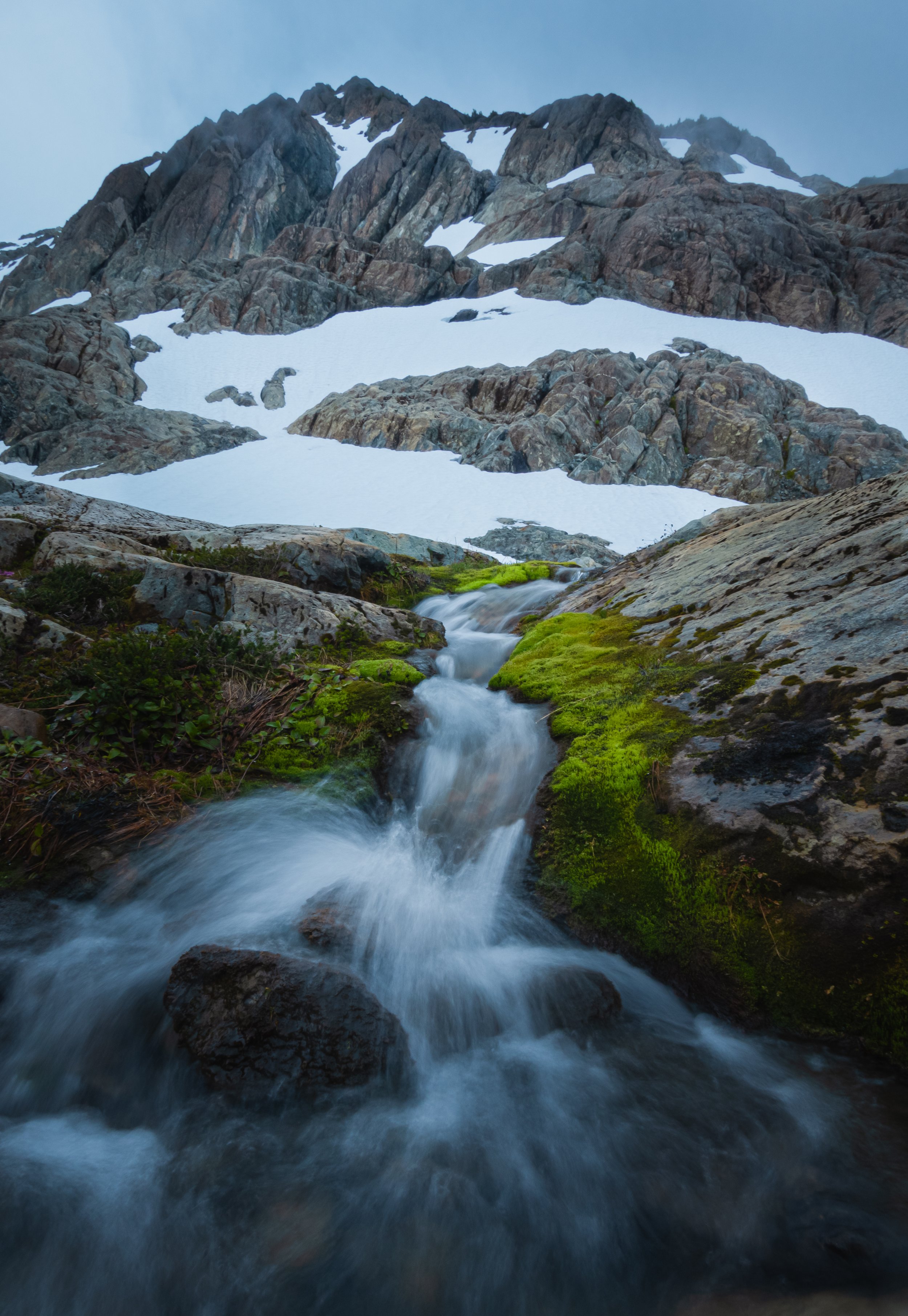Meltwater and Moss