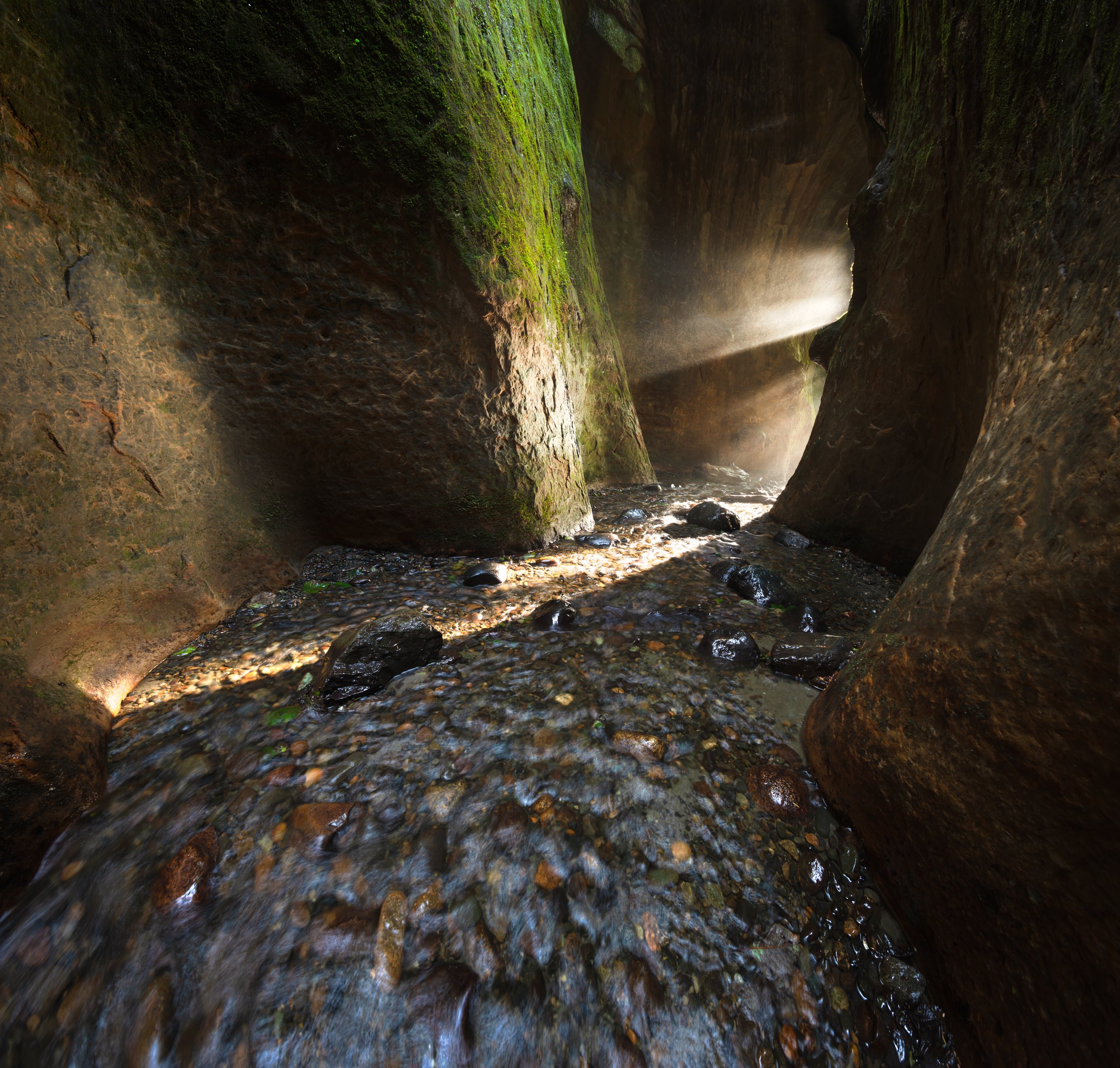 Beams in the Canyon