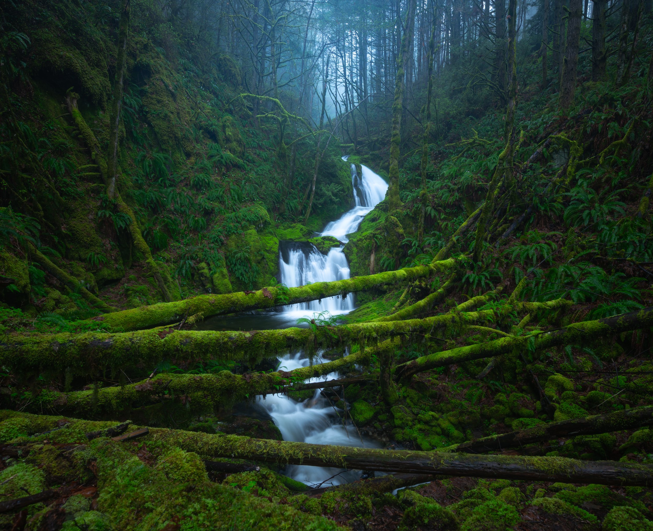 Green Cathedral