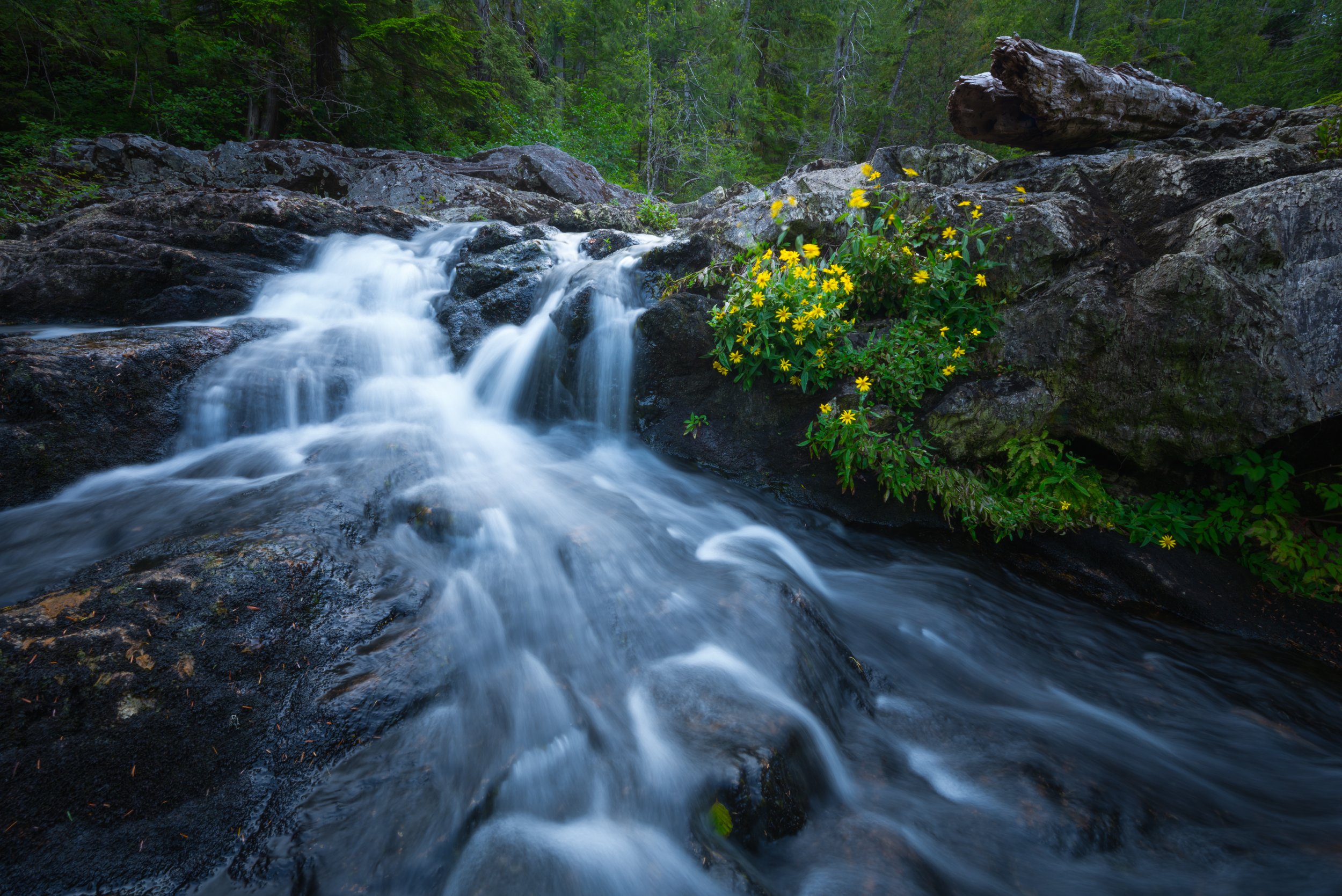 Highlights of the River