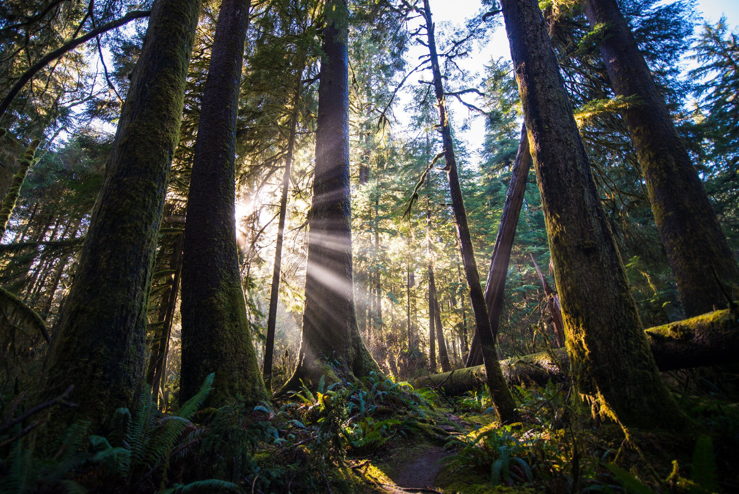 Rays in the Ancients