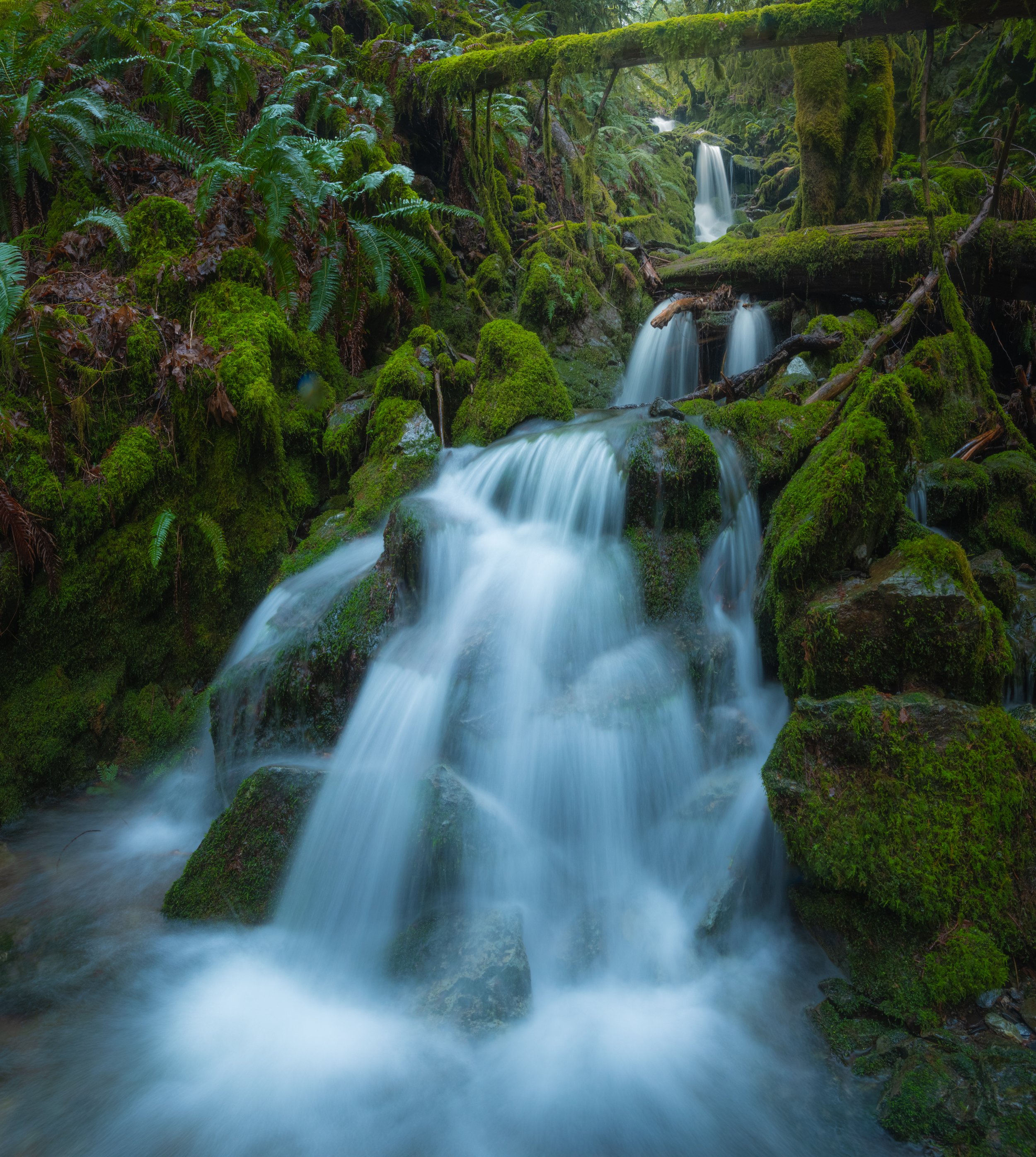 The Water Ladder