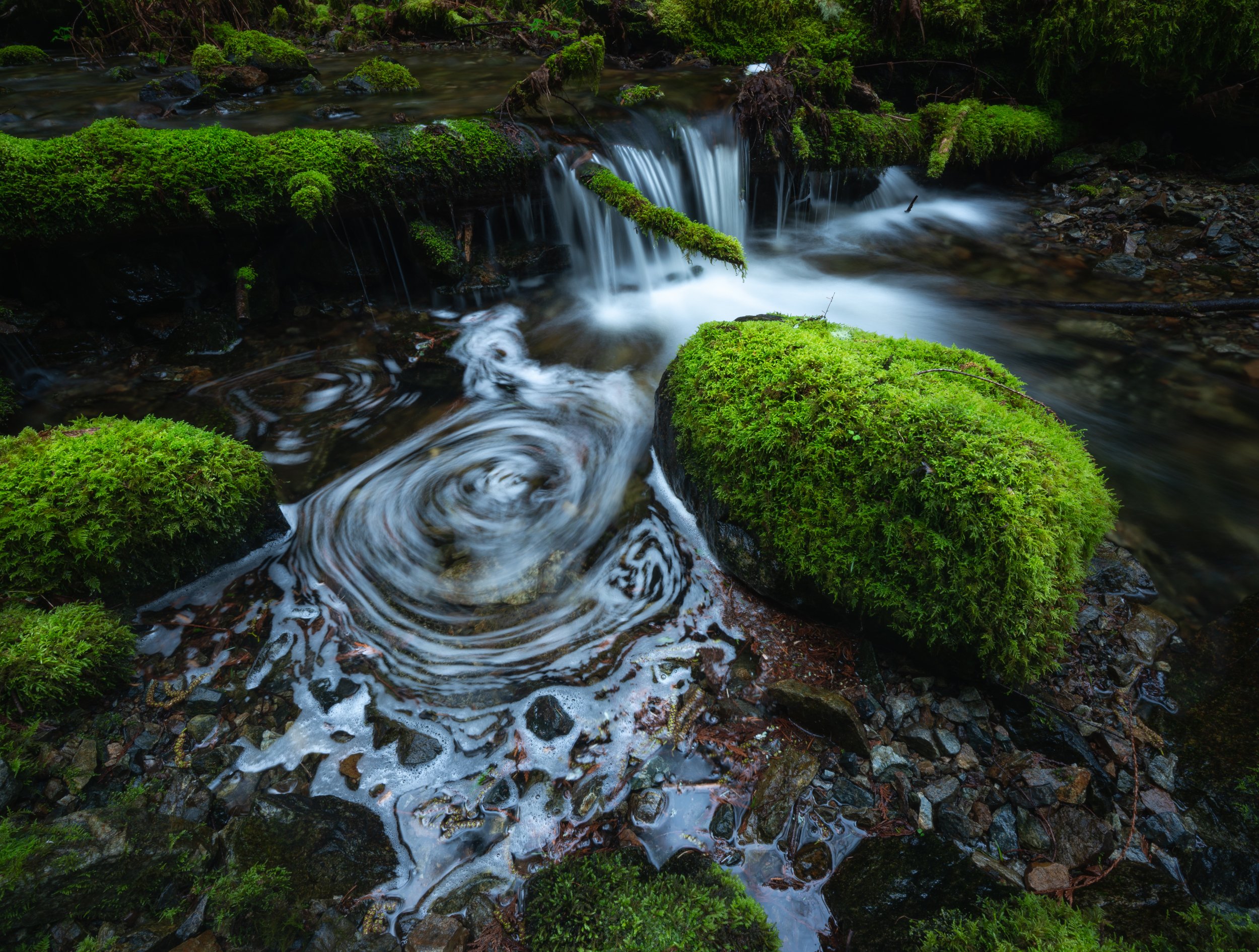 Water's Fingerprint