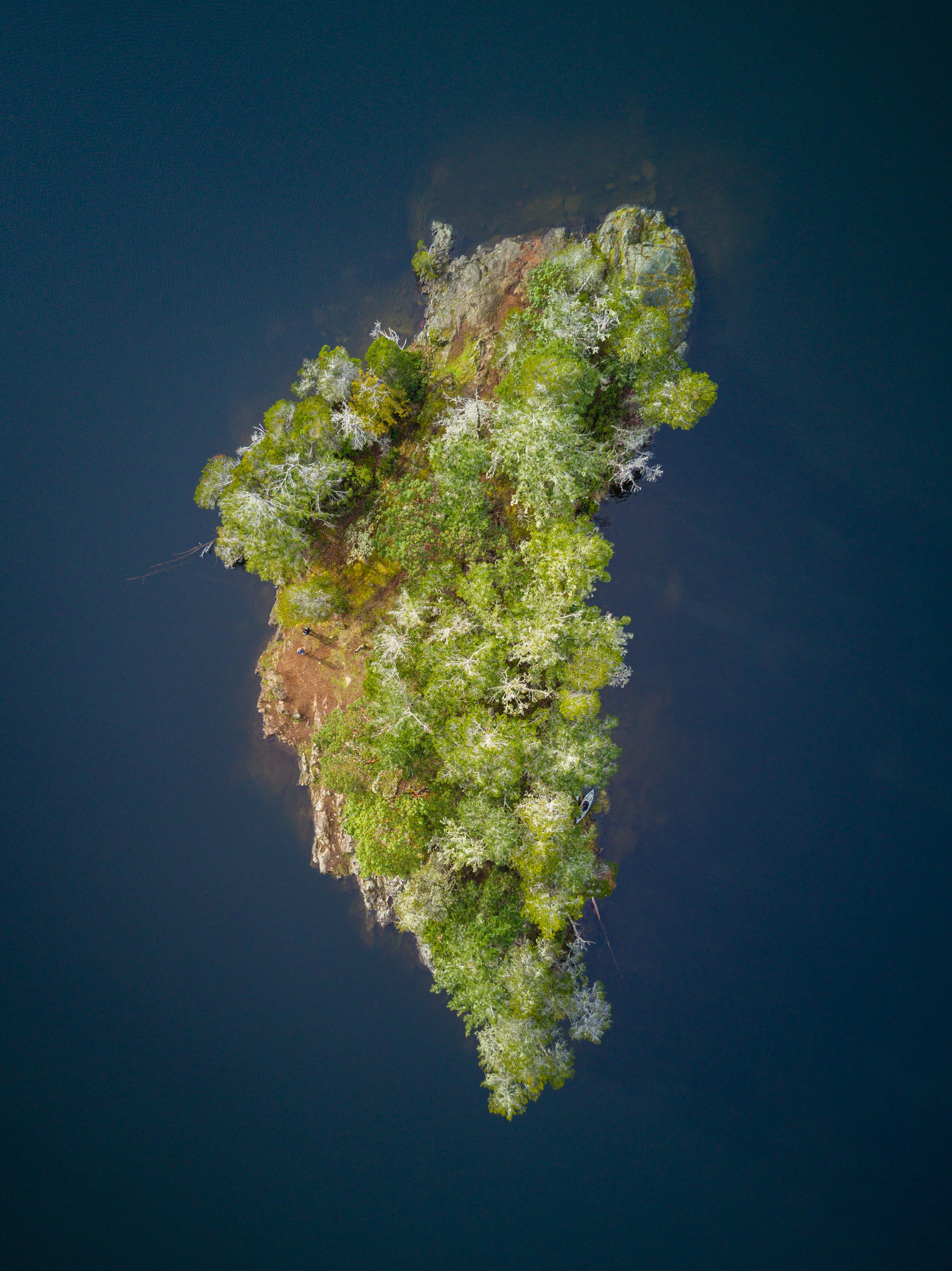Footprint