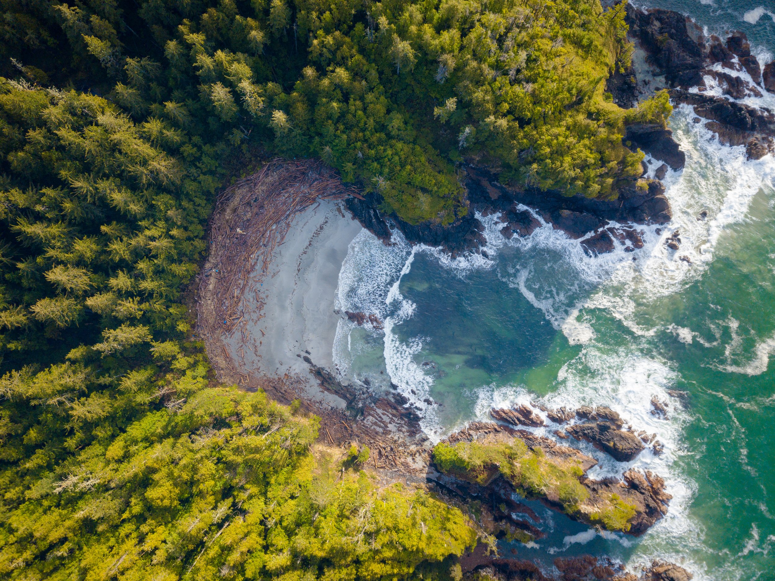 Pocket Paradise
